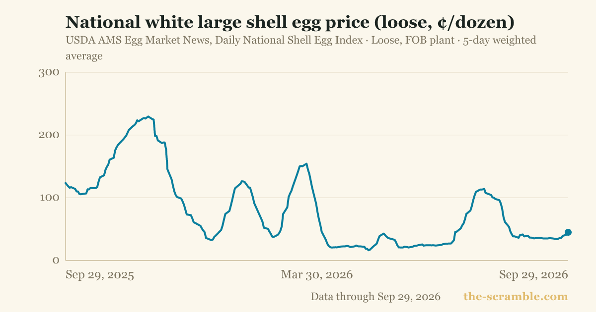 National white large shell egg price (loose, ¢/dozen)