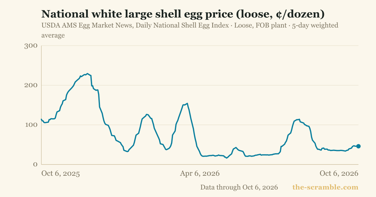 National white large shell egg price (loose, ¢/dozen)